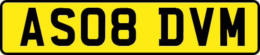 AS08DVM