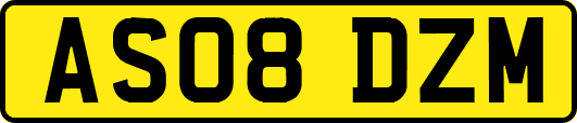 AS08DZM