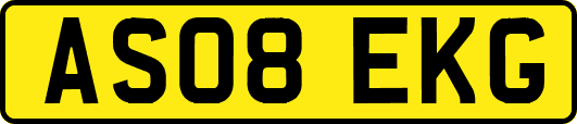 AS08EKG