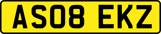 AS08EKZ