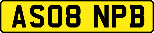 AS08NPB