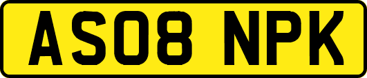 AS08NPK
