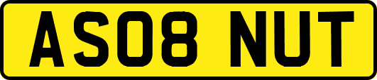 AS08NUT