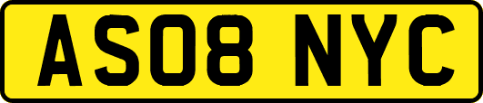 AS08NYC