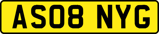 AS08NYG
