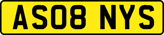 AS08NYS