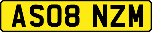 AS08NZM