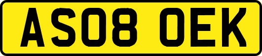 AS08OEK