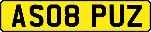 AS08PUZ