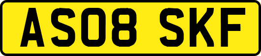 AS08SKF