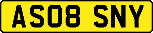 AS08SNY