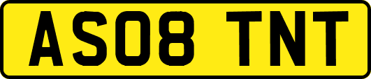 AS08TNT