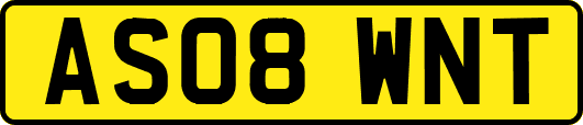 AS08WNT