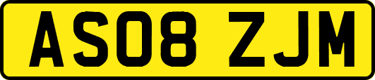 AS08ZJM