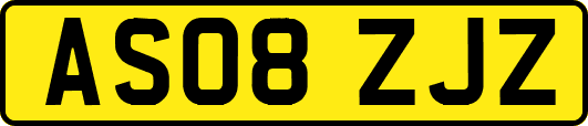 AS08ZJZ