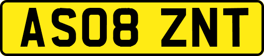 AS08ZNT