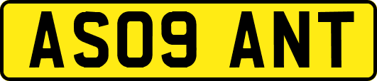 AS09ANT