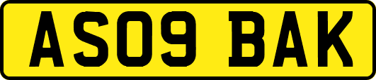 AS09BAK