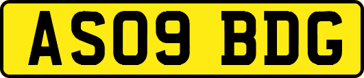 AS09BDG