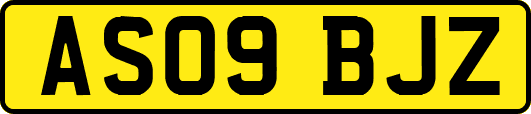 AS09BJZ