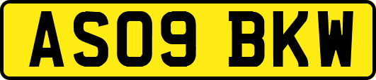 AS09BKW