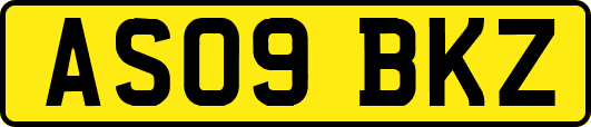AS09BKZ