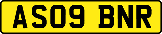 AS09BNR