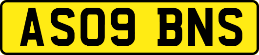 AS09BNS