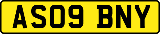 AS09BNY