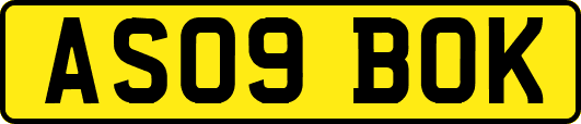 AS09BOK