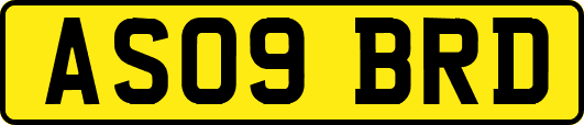 AS09BRD
