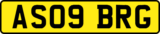 AS09BRG