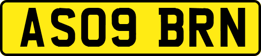 AS09BRN