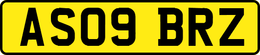 AS09BRZ