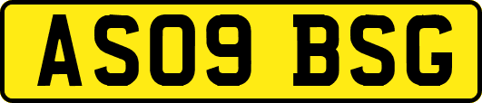 AS09BSG