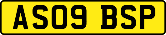 AS09BSP