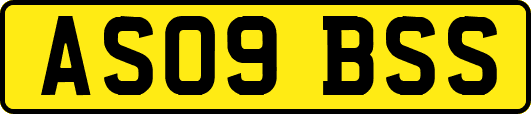 AS09BSS