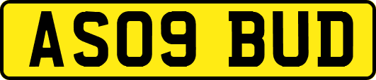 AS09BUD