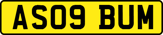AS09BUM