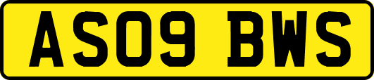 AS09BWS