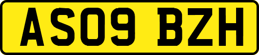 AS09BZH