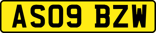 AS09BZW