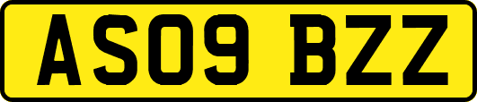 AS09BZZ