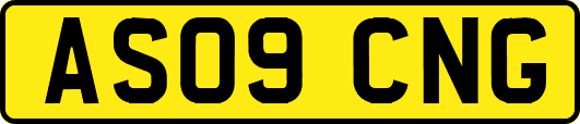 AS09CNG