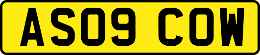 AS09COW
