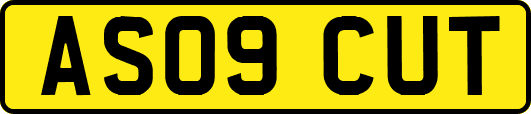 AS09CUT