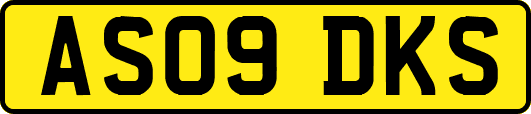 AS09DKS