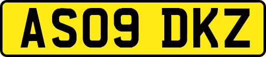 AS09DKZ