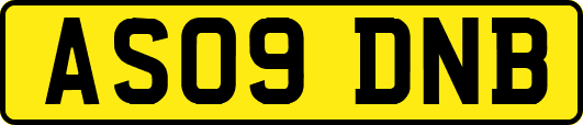 AS09DNB