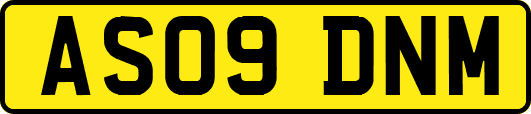 AS09DNM
